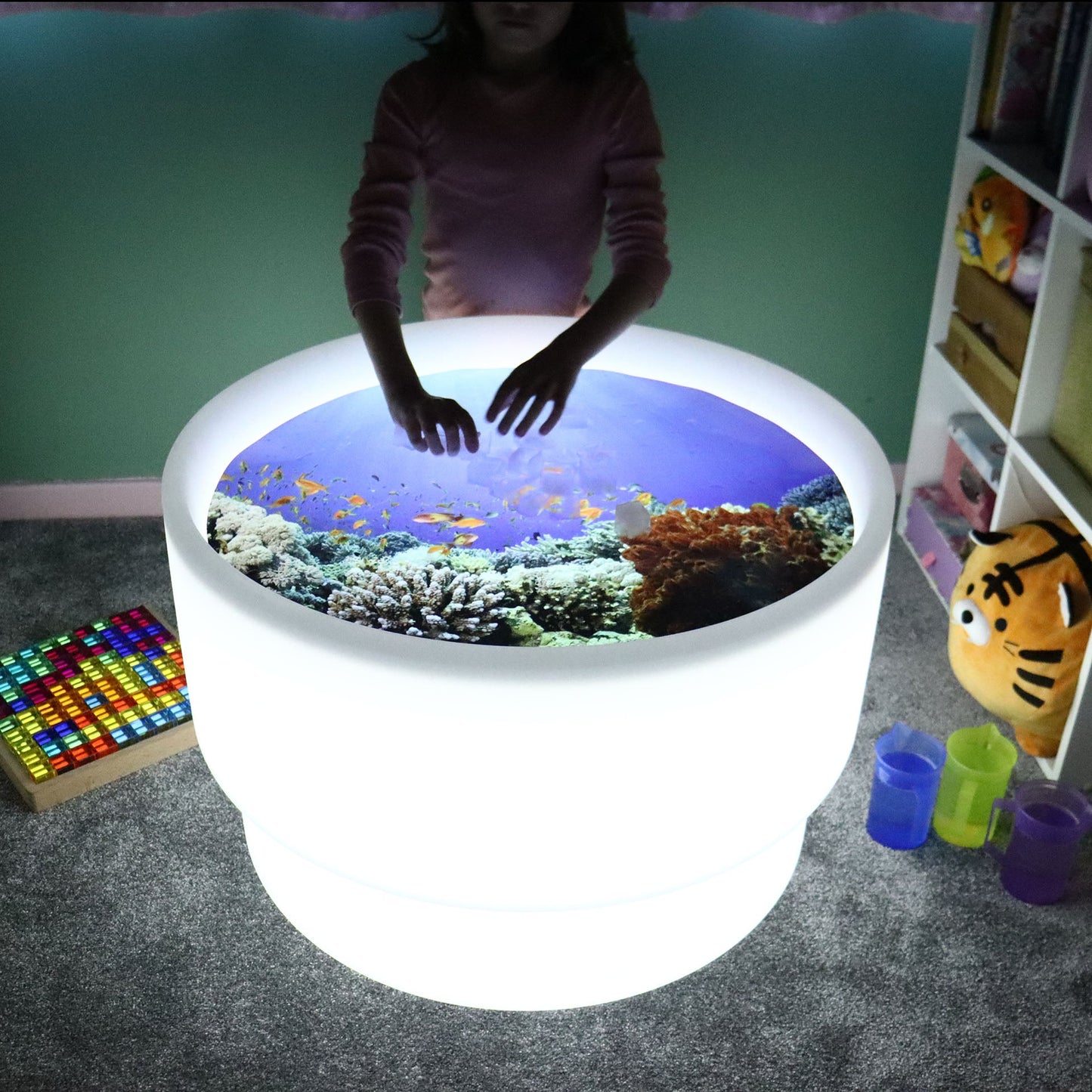 Under The Sea Discovery Play Mat