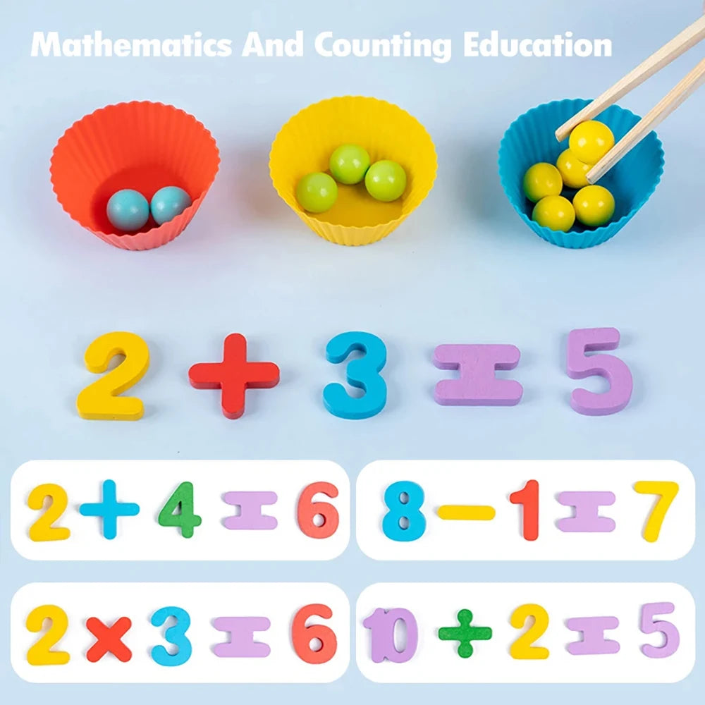 Montessori Math Counting Sorting Toy