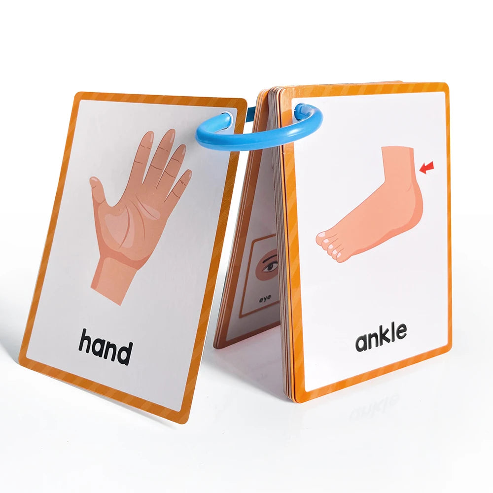 Body Parts Flash Cards