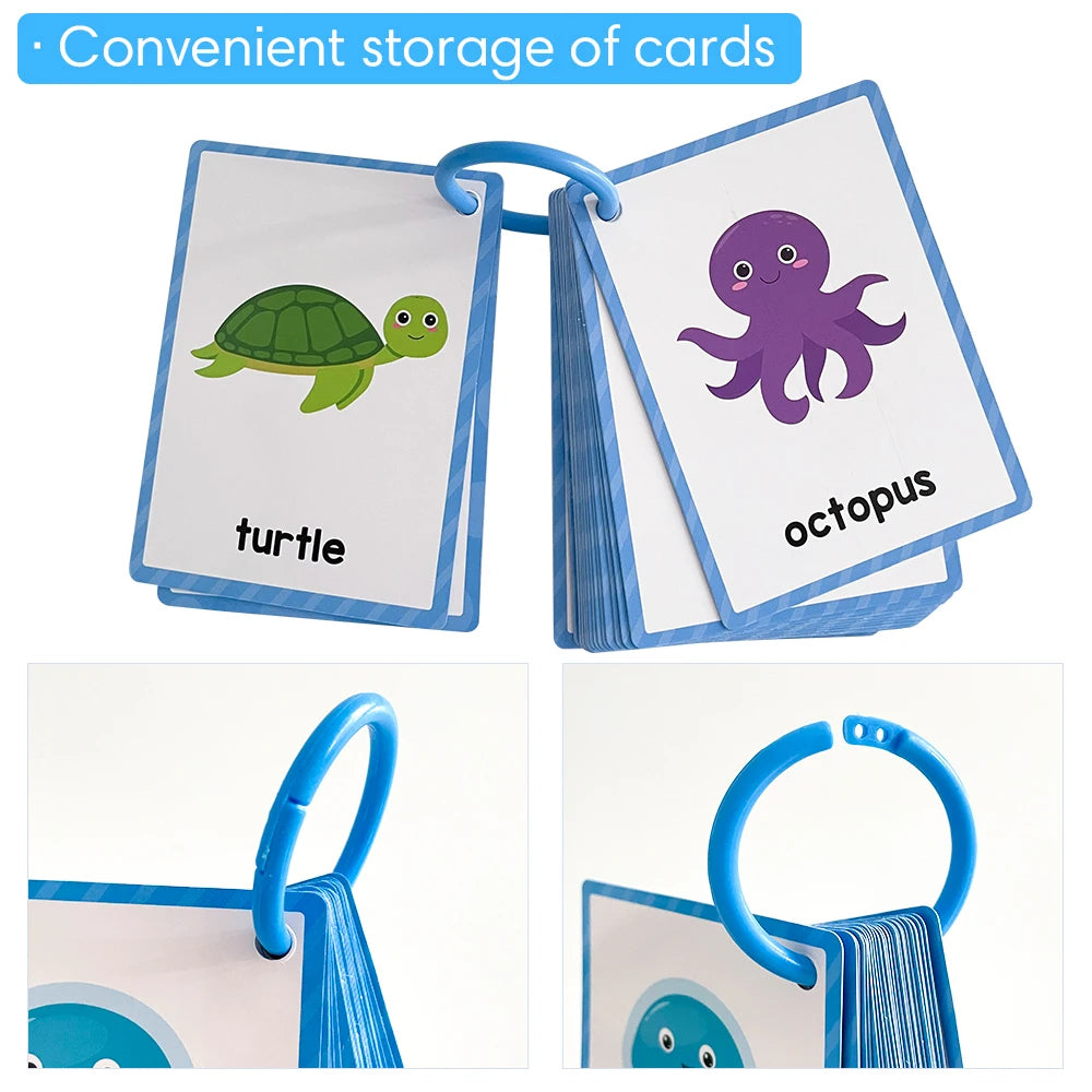 Animals Flash Cards