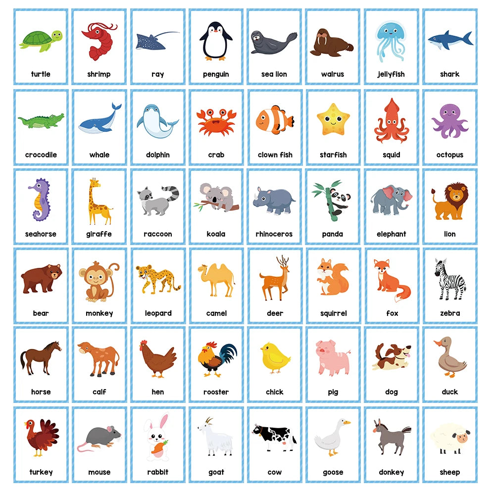 Animals Flash Cards