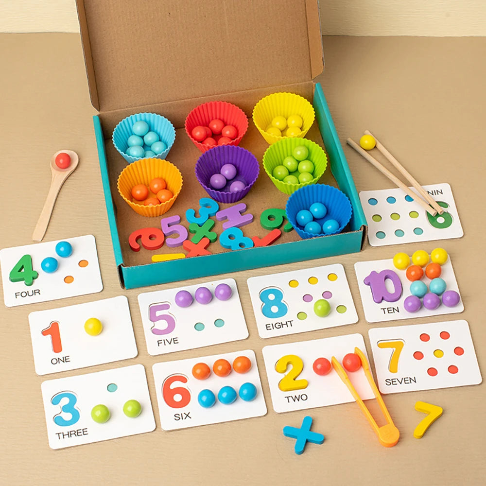 Montessori Math Counting Sorting Toy