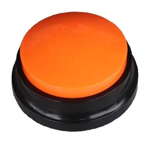 Voice Recording Button - Accessible Expression Aid for Neurodivergent Communication