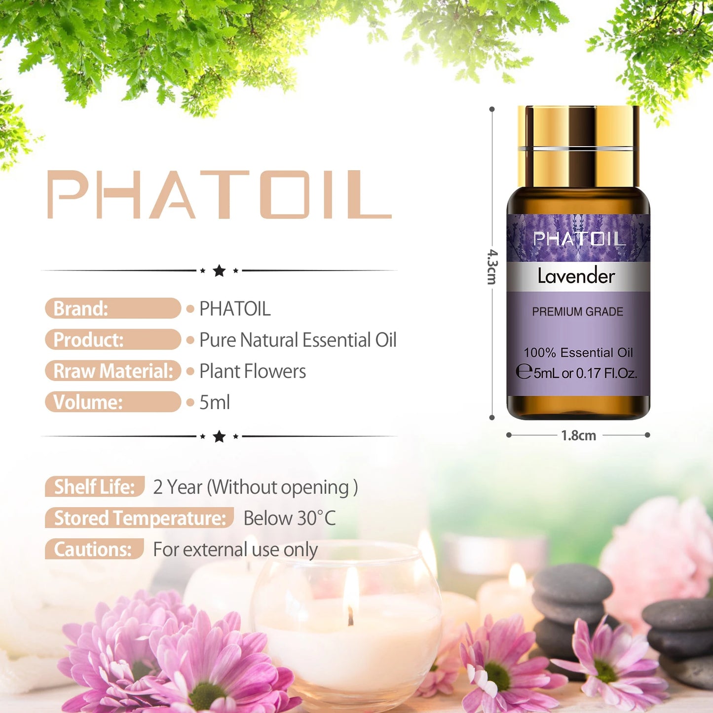 15pcs Essential Oils Set – Aromatherapy Support for Focus, Calm & Sensory Regulation