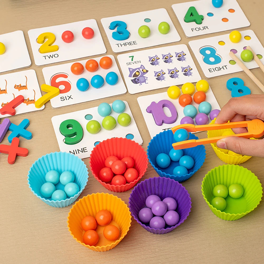 Montessori Math Counting Sorting Toy
