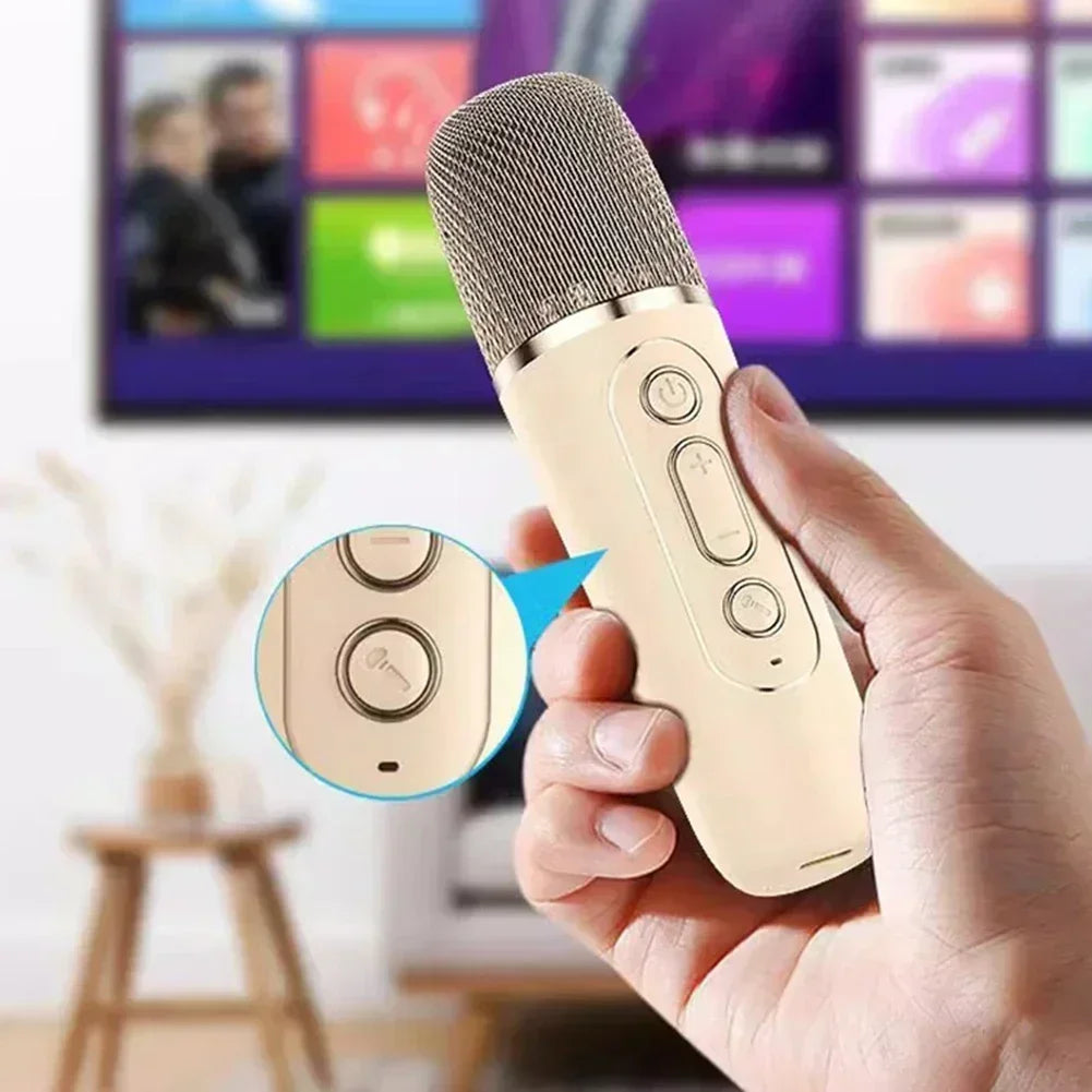Wireless Bluetooth Karaoke Machine