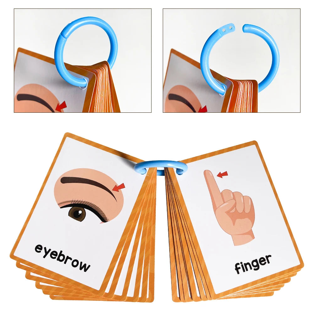 Body Parts Flash Cards
