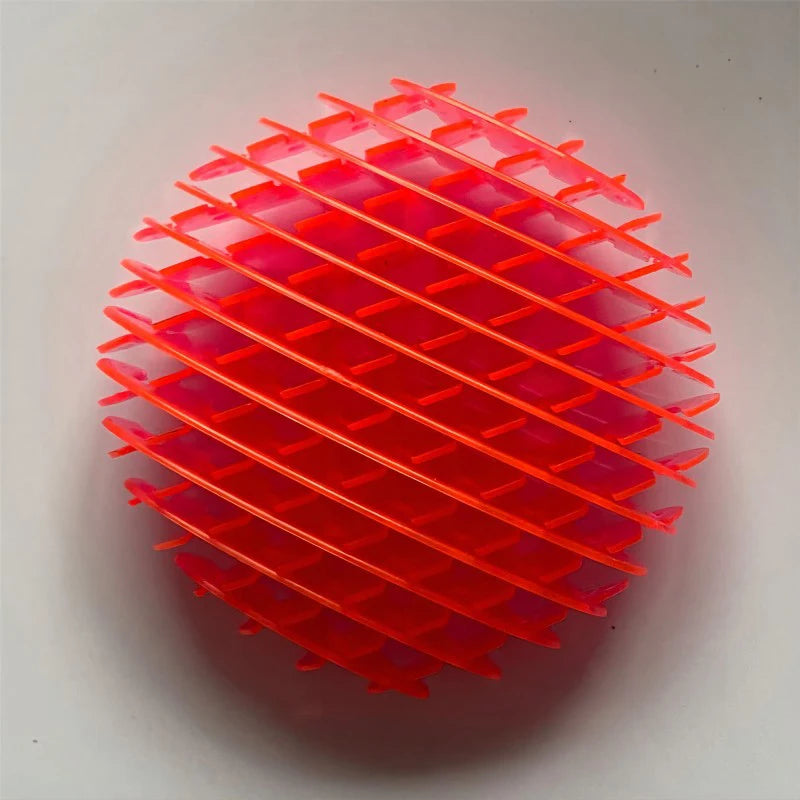 Morph Worm Fidget Disc