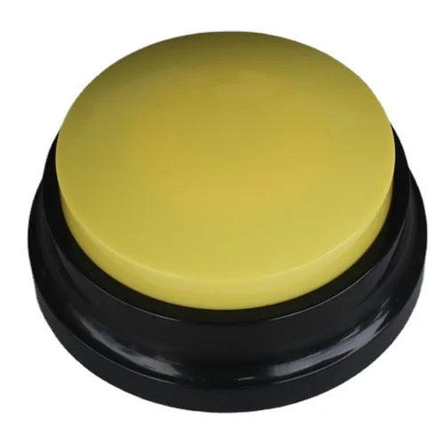 Voice Recording Button - Accessible Expression Aid for Neurodivergent Communication