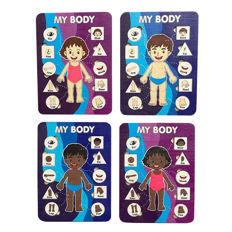 Human Body Parts Wooden Puzzles