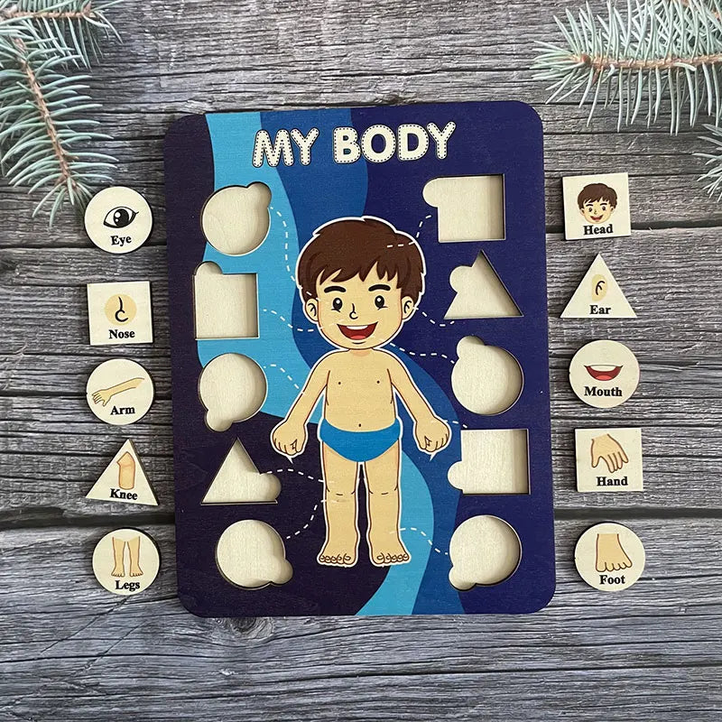Human Body Parts Wooden Puzzles