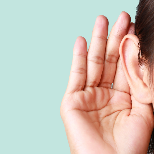 Sound (Auditory)