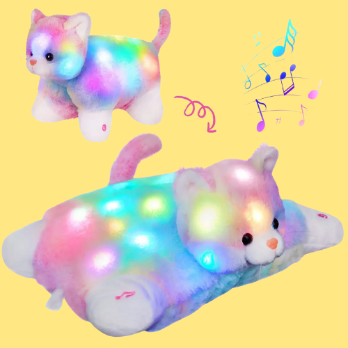 Sensory Toys