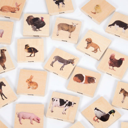 Domestic Animal Family Match