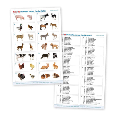 Domestic Animal Family Match