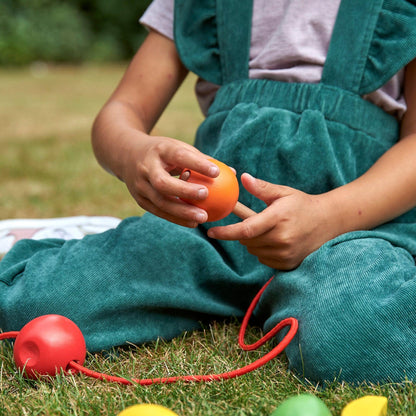 Wooden Lacing Fruits