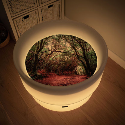 Forest Discovery Play Mat