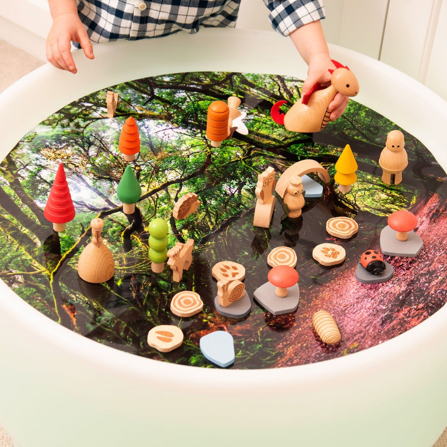 Forest Discovery Play Mat
