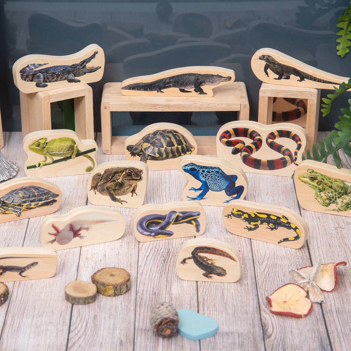 Wooden Reptile & Amphibian Blocks
