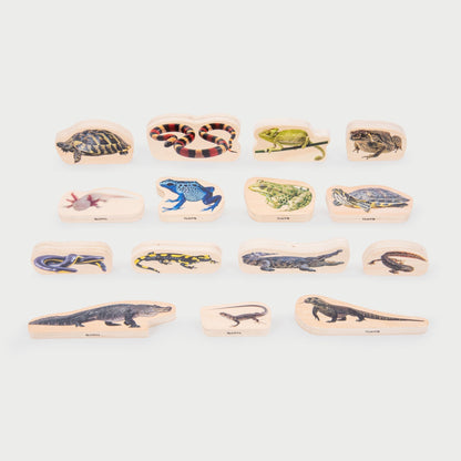 Wooden Reptile & Amphibian Blocks