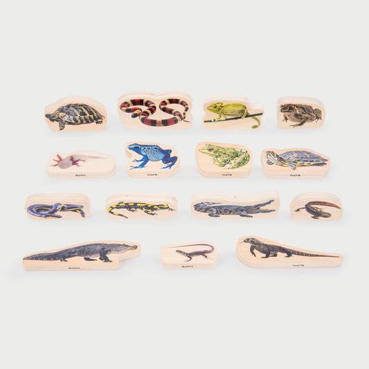 Wooden Reptile & Amphibian Blocks