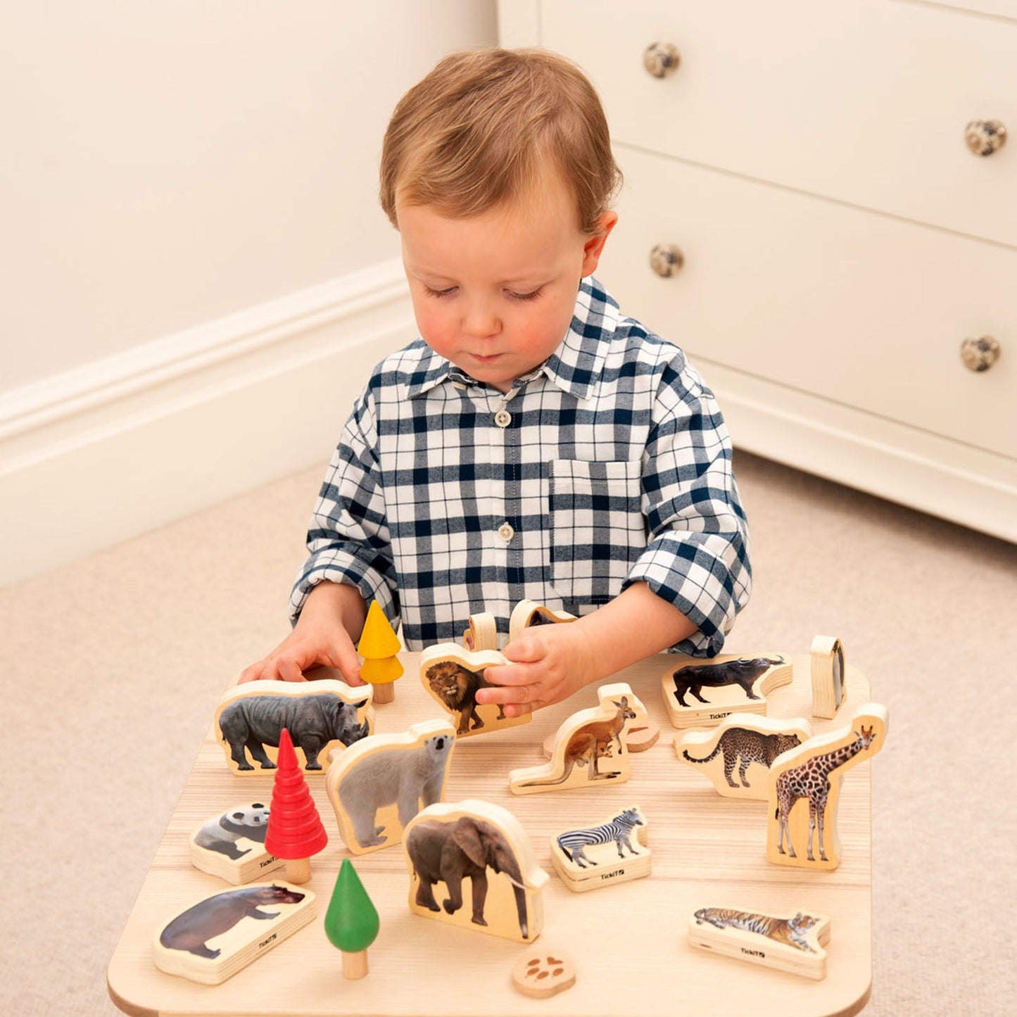 Wooden Wild Animal Blocks