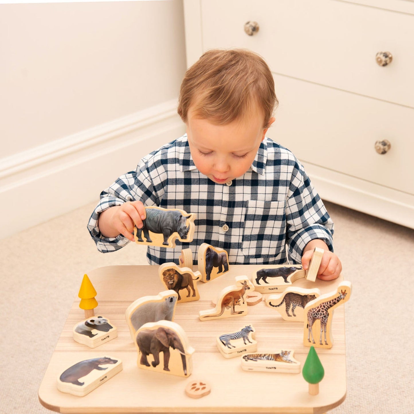 Wooden Wild Animal Blocks