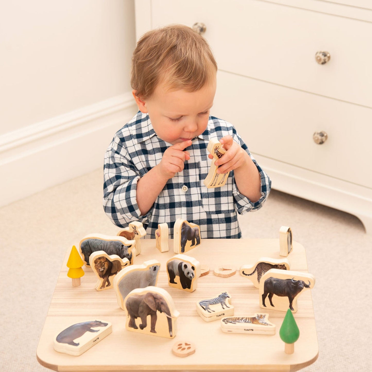 Wooden Wild Animal Blocks