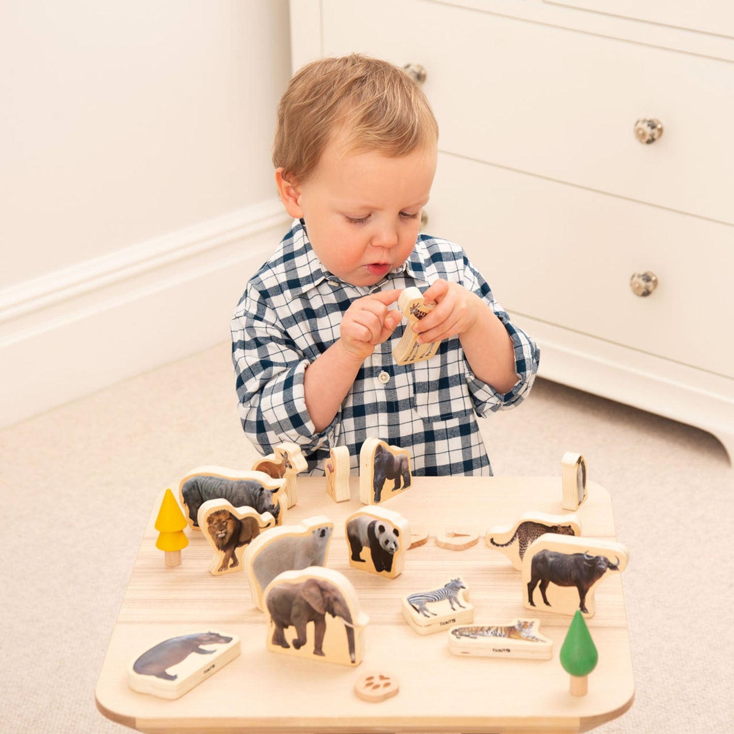 Wooden Wild Animal Blocks