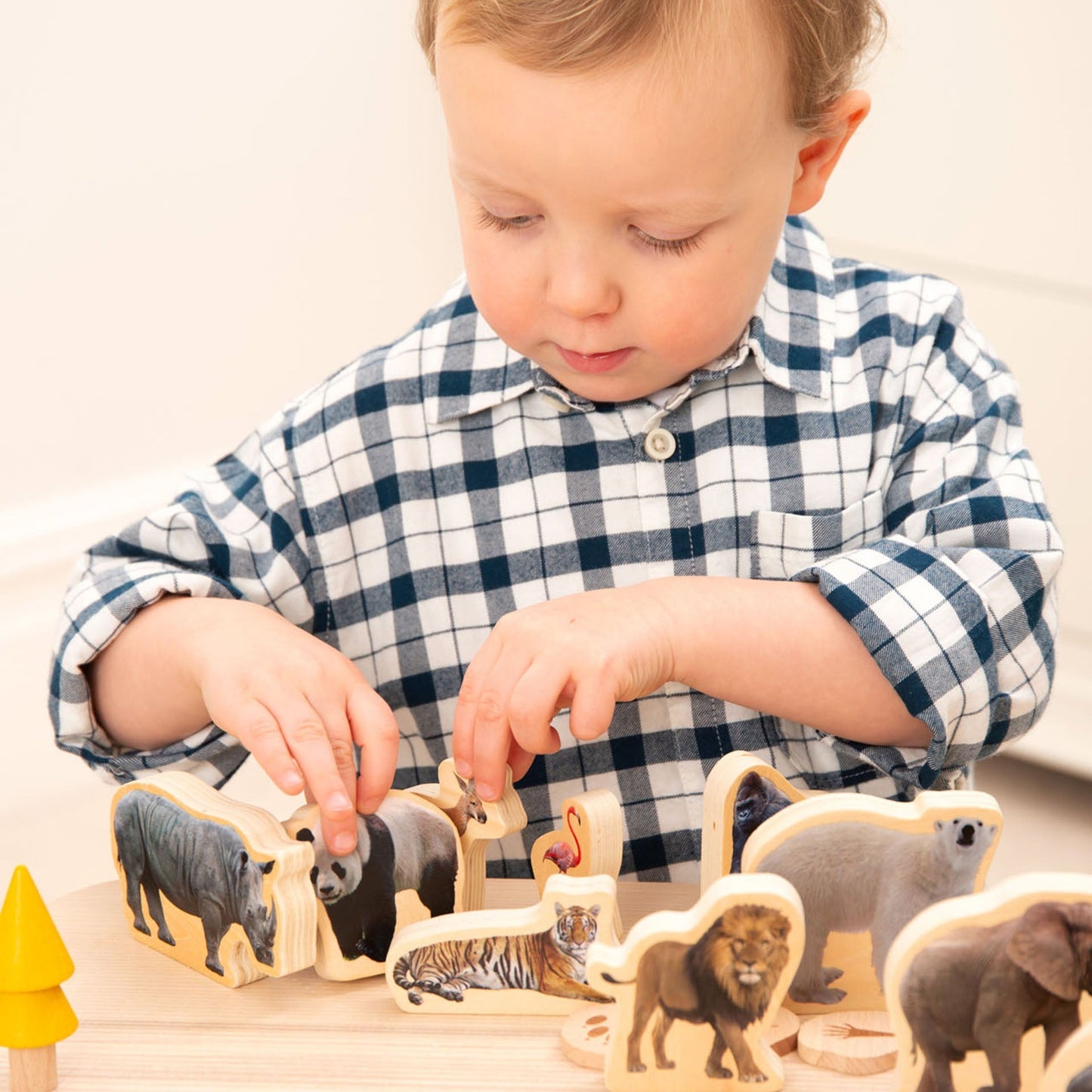 Wooden Wild Animal Blocks