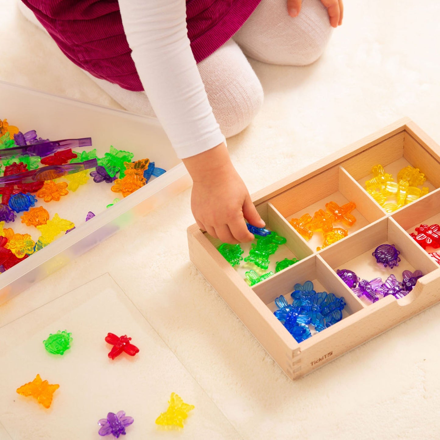 Discovery Trays