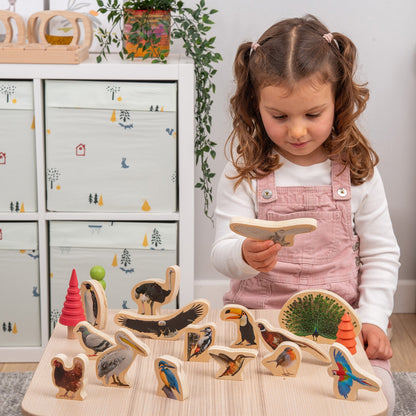 Wooden Bird Blocks