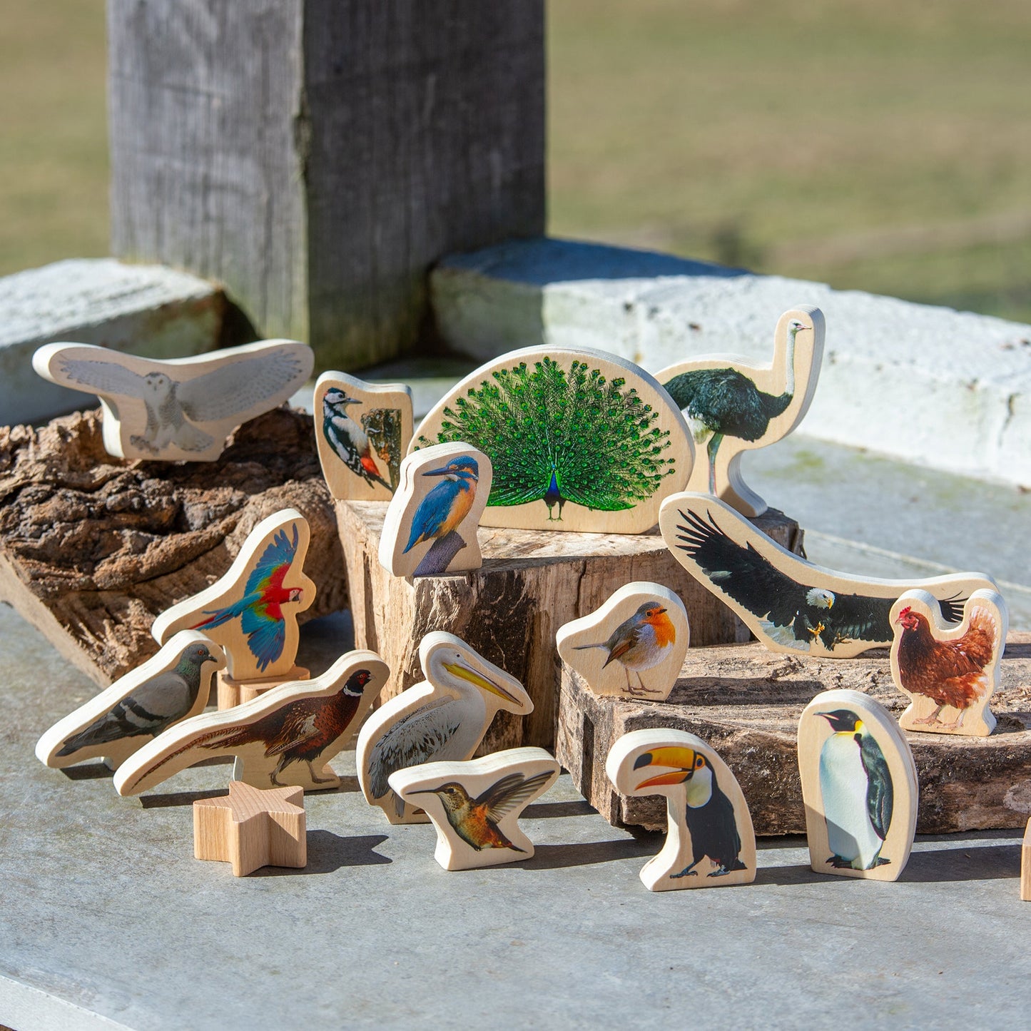Wooden Bird Blocks