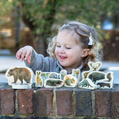 Wooden Forest Animal Blocks