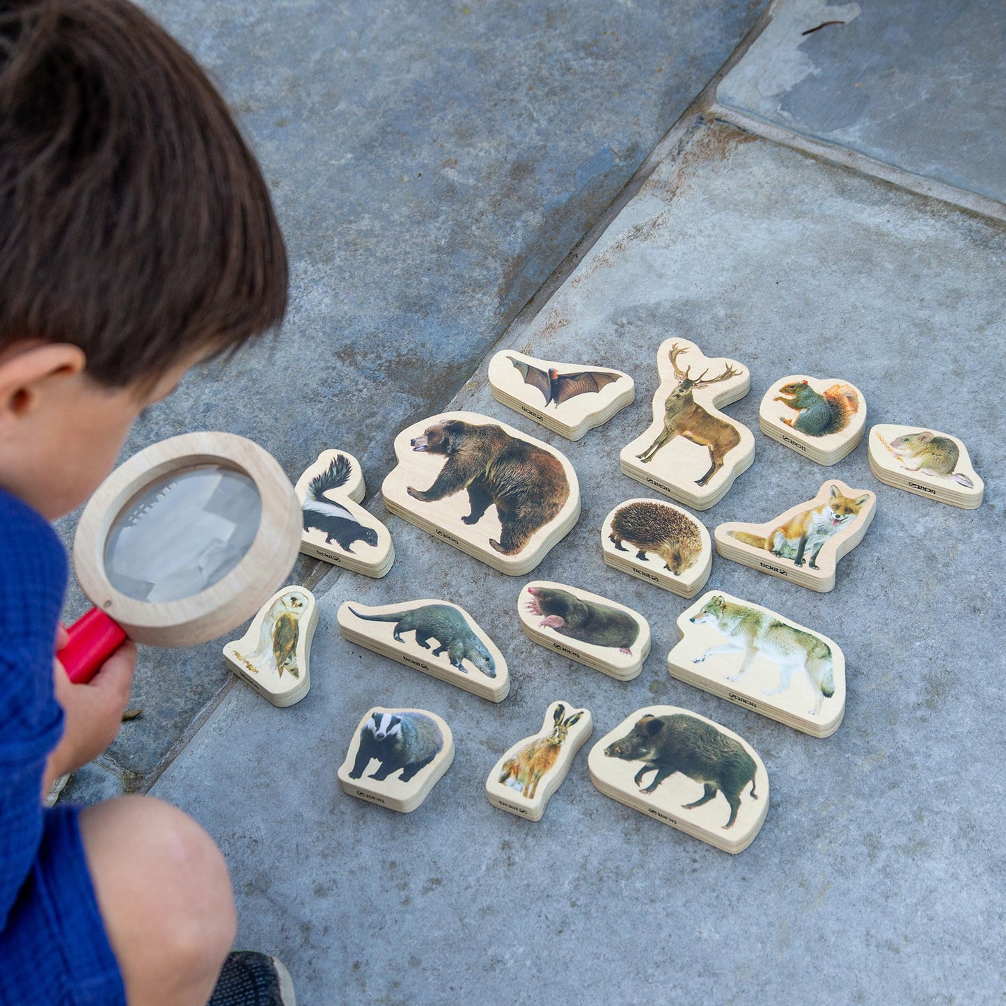 Wooden Forest Animal Blocks
