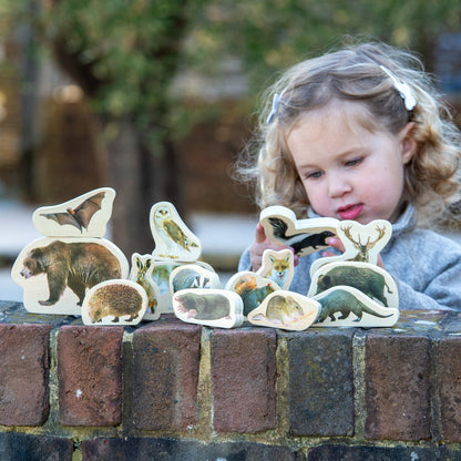 Wooden Forest Animal Blocks