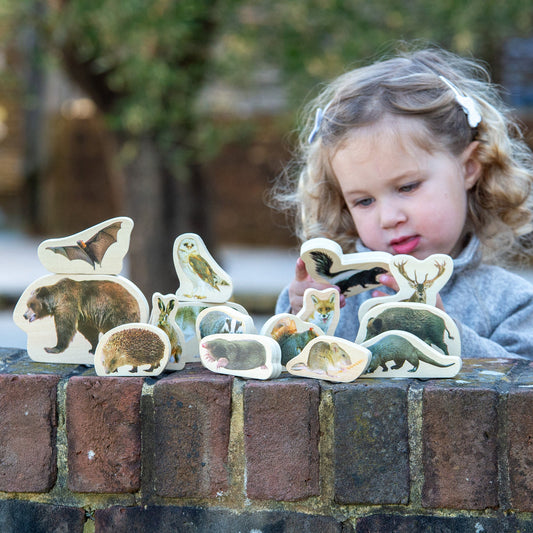 Wooden Forest Animal Blocks
