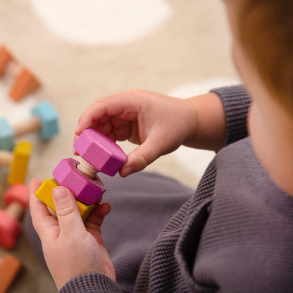 Rainbow Wooden Nuts & Bolts