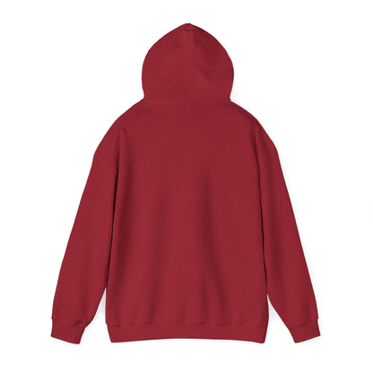 My Brain loves sleep, except when its bedtime- Cute Panda Hoodie