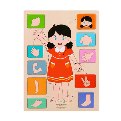 Human Body Parts Wooden Puzzles