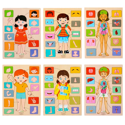 Human Body Parts Wooden Puzzles
