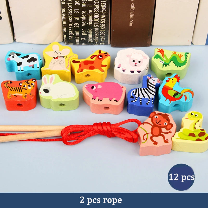 Variety of Lacing Beads Educational Montessori Stringing  Toys