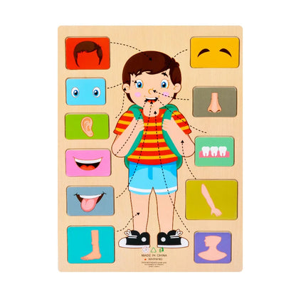 Human Body Parts Wooden Puzzles