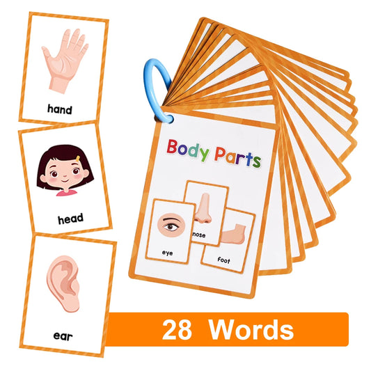 Body Parts Flash Cards