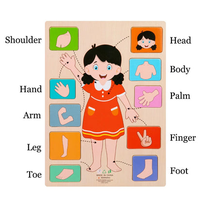 Human Body Parts Wooden Puzzles