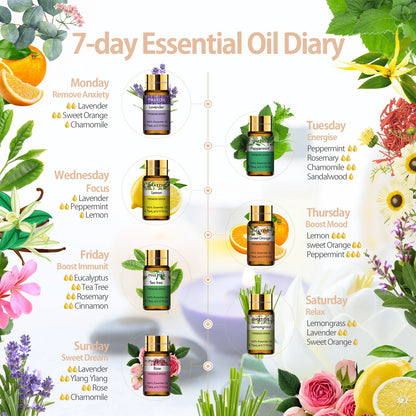 15pcs Essential Oils Set – Aromatherapy Support for Focus, Calm & Sensory Regulation