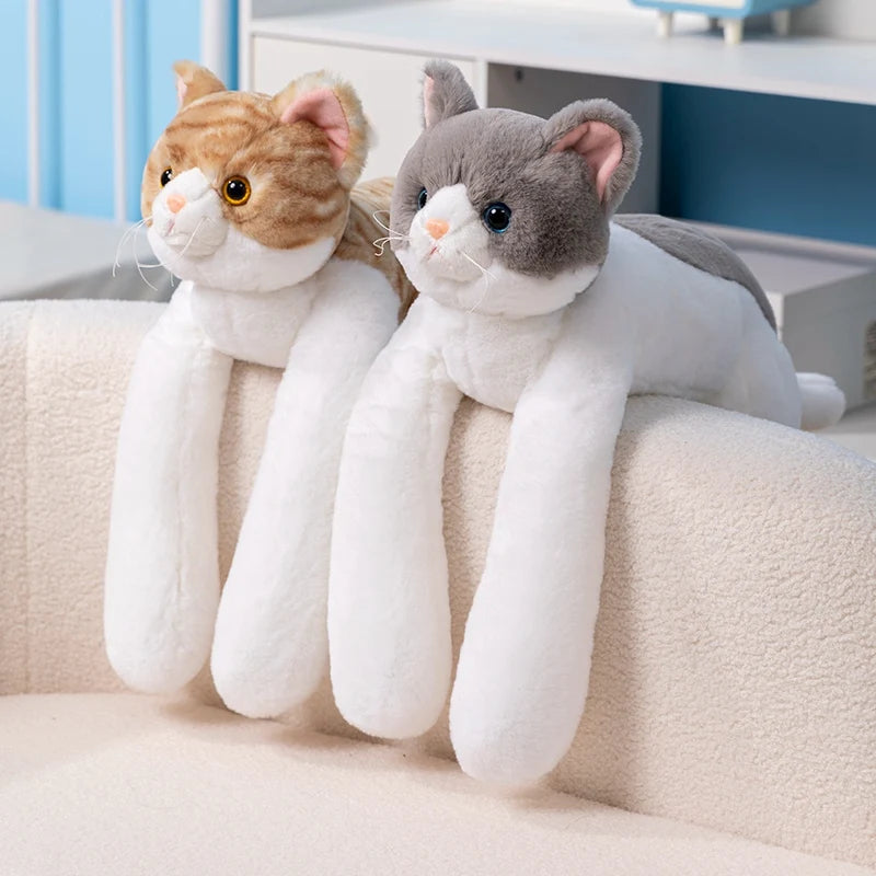 Cuddle Cat