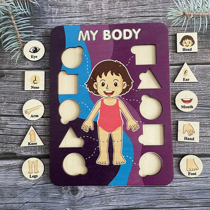 Human Body Parts Wooden Puzzles