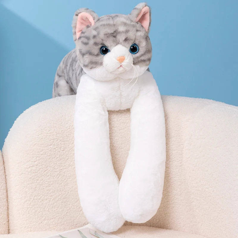 Cuddle Cat