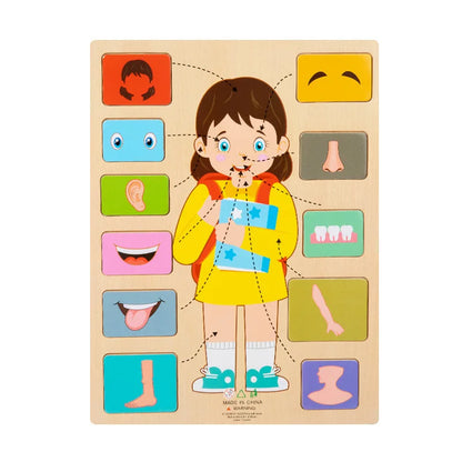 Human Body Parts Wooden Puzzles